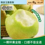 隰(xi)悦【顺丰】隰县玉露香梨2026新梨 山西小西天特产孕妇水果 节日送礼 9粒特大果（净重约7斤）90-100mm