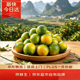 京鲜生脆皮金桔【滑皮二代金桔】 净重2.5斤 单果15g起 生鲜水果