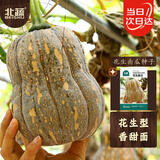 北蔬 南瓜种子苗甜糯面秋冬季四季庭院爬藤蔬菜种籽 花生南瓜种子20粒
