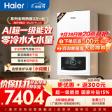 海尔（Haier）【节能王26JN7PLUS】一级能效冷凝燃气壁挂炉天然气采暖炉暖气片地暖零冷水热水器 国家补贴自营