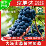 京地达大泽山蓝莓香葡萄 净重4斤精选 现摘水果 源头直发 包邮
