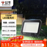 公牛（BULL）LED投光灯户外庭院工厂园林灯露营灯 IP65防水等级100W-6500K白光