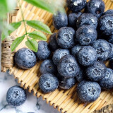 良田悦味 怡颗莓蓝莓中大果 当季限量蓝莓水果生鲜 中大果4盒装0.5kg