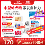皇家狗粮 幼犬狗粮幼犬奶糕宠物中型犬MEJ32 全价犬粮 2-12月 4KG