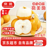 京觅山东烟台莱阳头茬秋月梨 净重3斤大果 单果300g+水果源头直发包邮