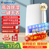 格力抽湿机/除湿机 别墅家用卧室办公室低噪干衣除湿器 20升/天 智能数控(DH20EF) 20L/天 20-40㎡