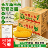 新鲜黄糯玉米真空包装速食玉米低脂粗粮代餐杂粮早餐包邮 福利专项 4棒 200g起/棒