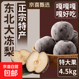 东北冻梨 正宗特产冻梨大黑梨 净重9斤 大果250-350g