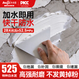 永安固白水泥速干525墙面修补防水堵洞卫生间堵漏神器地面瓷砖填缝材料