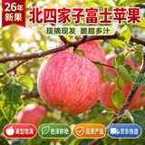云禾青穗【朝阳特产】北四家子富士苹果2026年苹果应季生鲜水果 脆甜多汁 【精选】苹果 净4.5斤+｜80mm+