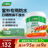 三棵树漆外墙透明防水胶 免砸砖屋顶防水卫生间窗台外墙防水涂料 5kg