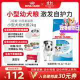 皇家狗粮 幼犬狗粮 宠物 小型犬 MIJ31 全价犬粮 2-10月 2KG