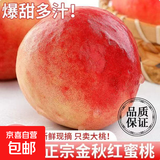 京喜加山东沂蒙山蒙阴金秋红蜜桃时令桃子脆甜多汁当季采摘锦绣水果 精选好桃【特大果】 带箱5斤 净重4.5斤