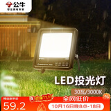 公牛（BULL）LED投光灯户外路灯庭院灯工地灯露营灯 IP65防水30W-3000K黄光