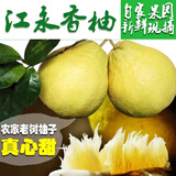 迭果江永香柚正宗湖南永州特产沙田柚纯甜柚子新鲜水果 4.5斤小果袋装3-4个