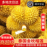 落沙园泰国进口现货金枕头榴莲【顺丰空运】老树果当季新鲜整个带壳水果 金枕榴莲2-3斤【巴掌果】