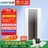 正泰强电箱配电箱明装20回路NEX5-C12000M