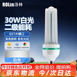 洛林（ROLin）LED灯泡节能灯泡大功率U型泡家用商用e27螺口超亮灯泡30W白光