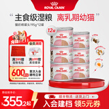 皇家（ROYAL CANIN）猫粮慕斯猫罐头湿粮奶糕幼猫粮全价粮 猫咪主食级罐头BMC 【2340g 猫奶糕罐头】195g*12罐