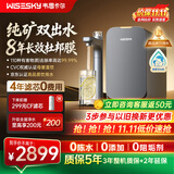 WISESKY韦思卡尔黑积木3.0纯矿双出水厨下净水器ro反渗透M5净水机家用