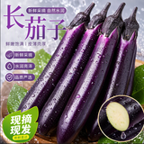 京鲜生山东新鲜长茄子净重3斤单果100g+新鲜茄子源头直发包邮