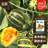 北蔬冰糖子甜瓜种子苗口感似冰糖香瓜果种籽 甜牙冰糖子种子约100粒
