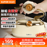 苏泊尔（SUPOR）【优雅复古】手持挂烫机24g/min家用熨烫机110ml水箱蒸汽电熨斗小型便携式EGH-906A团购礼物