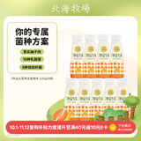 北海牧场7种益生菌双歧杆菌 黄金蜜柚  低温酸奶风味发酵乳220g*9瓶