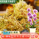 德沃多水苔约6L(一级)营养土爬宠乌龟冬眠蝴蝶兰君子兰水培盆栽