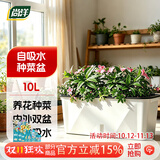 尚洋阳台种菜盆种菜箱草莓种植盆长条花盆塑料蔬菜种植箱专用盆小号