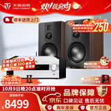 天逸（Winner）AD-86D合并式HIFI解码功放机发烧级立体声高保真HIFI组合蓝牙功放机 套餐5：搭配惠威D8.1MKII