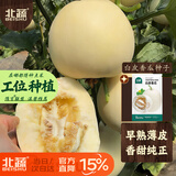 北蔬白皮香瓜种子苗皮薄肉厚白瓤甜瓜水果籽 白皮香瓜种子20粒x2包