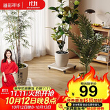 溢彩年华花架阳台置物架落地式花盆架方形植物多肉盆栽移动架子30/5315