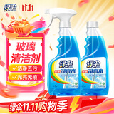 绿伞玻璃净亮水 玻璃车窗清洗剂 不留水痕去污防尘500g*2瓶