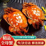 【活蟹】阳澄逍遥大闸蟹鲜活螃蟹全母蟹2.3-2.6两8只现货湖河蟹水产海鲜礼盒次日达