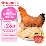 温氏供港黄油鸡净重2斤 120天 冷冻黄油母鸡农家土鸡整鸡 炸鸡鸡肉