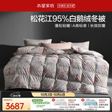水星家纺羽绒被鹅绒被95%白鹅绒被子冬被冬季加厚被芯双人220×240约5.5斤
