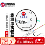 光威鱼线大线组套装八字环硅胶太空豆漂座快速刻度铅纳米2副主线 光威套装钓组(两付入）5.4米 2