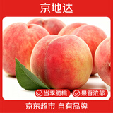 京地达脆桃水果桃子蒙阴新鲜应季秋冬桃 净重4.5斤 单果150g起 源头直发
