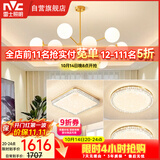 雷士（NVC）吊灯铜魔豆分子灯客厅北欧灯具灯饰创意现代轻奢三室一厅NGD12-2