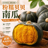 正宗贝贝南瓜 粉糯香甜小南瓜 宝宝辅食粗粮新鲜时令蔬菜产地直发 贝贝南瓜净重 3斤 单果200g
