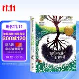 布鲁克林有棵树 贝蒂史密斯著青少年中小学生寒暑假假期推荐阅读课外读物三四五六年级课外阅读国际大奖儿童文学外国经典成长文学小说