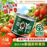 冠农股份【26年7-8月产】新疆蕃茄丁210g*6西红柿块罐头番茄酱烹饪