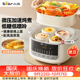 小熊（Bear）电炖盅电炖锅隔水炖家用4人用煲汤炖汤锅燕窝炖盅4.1L炖蒸煮一体微压电炖锅DDZ-J25G2