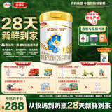 伊利金领冠珍护婴儿奶粉1段0-6月900g*1罐 HMO乳源专利 28天新鲜到家