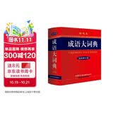 成语大词典 彩色最新修订版 小学生多功能成语词典 2020年新版中小学生专用辞书工具书字典词典