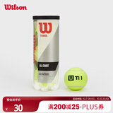 Wilson威尔胜TITANIUM 训练网球罐装 3颗装【球上数字随机】