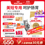 皇家美短成猫粮 ASA31 通用粮 12月以上 10KG