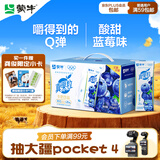 蒙牛真果粒蓝莓味牛奶饮品250g*12盒 新老包装 送礼礼盒