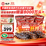 晓芹大连冷冻即食海参500g 7-9只 辽刺参 海鲜水产
